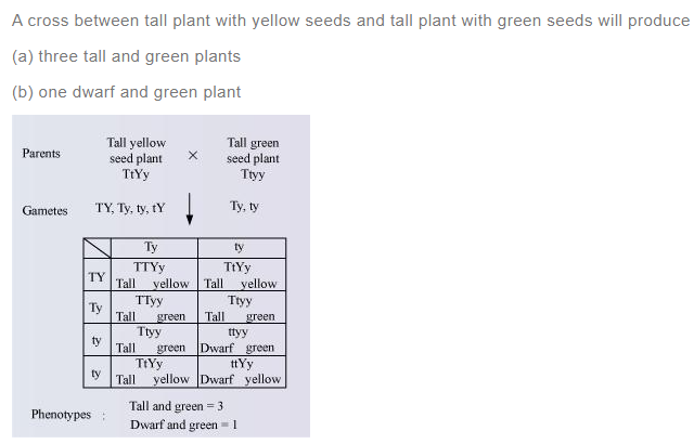 ncert solutions for class 12 biology chapter 5 q 7(a)