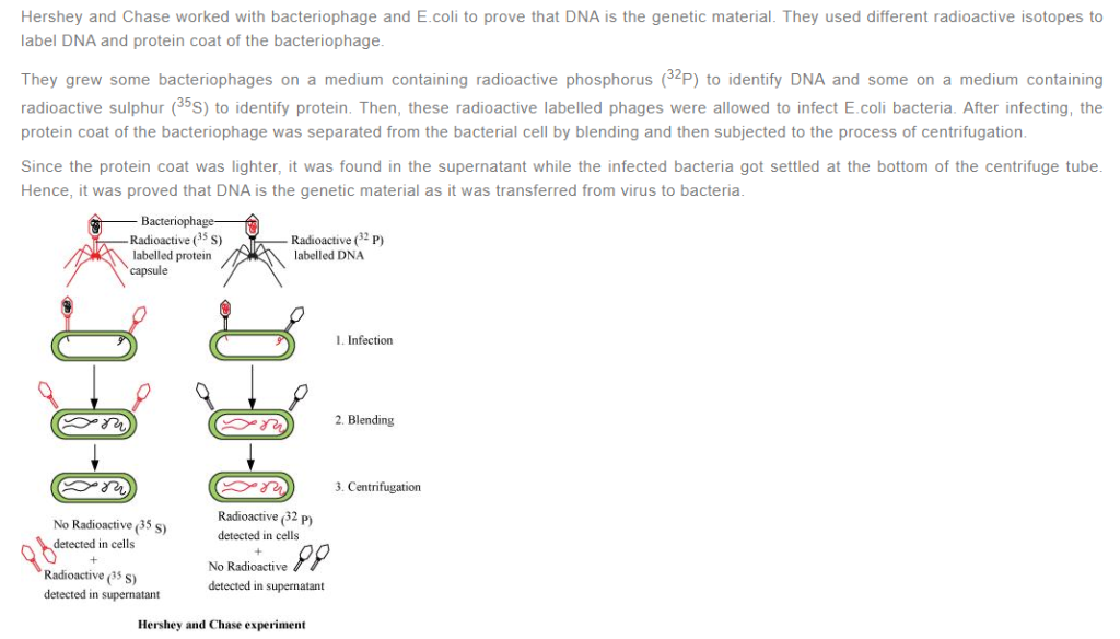 NCERT Solutions For Class 12 Biology Chapter 6 Pdf
