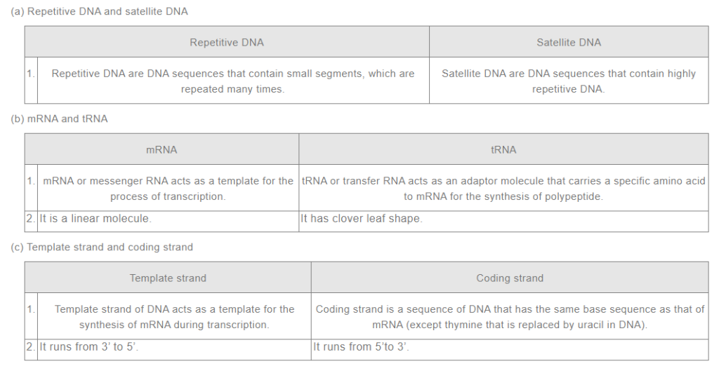 NCERT Solutions For Class 12 Biology Chapter 6 Pdf
