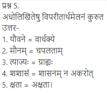 ncert solutions for class 12 sanskrit chapter 4 q 5