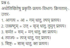 ncert solutions for class 12 sanskrit chapter 4 q 6