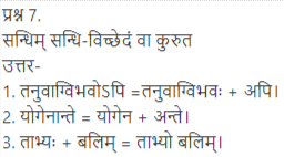 ncert solutions for class 12 sanskrit chapter 4 q 7